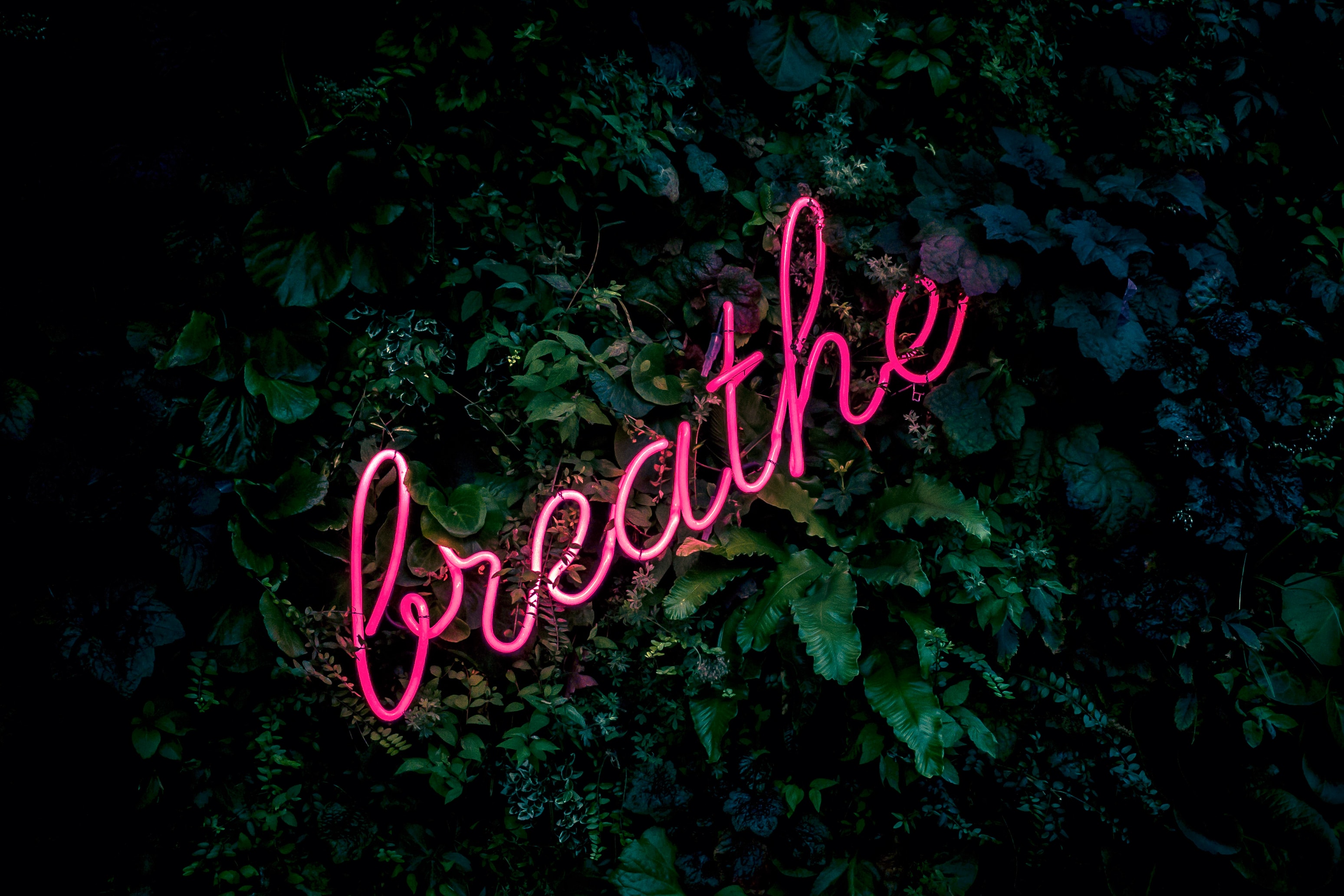 Breathe Neon Text in Green Plants